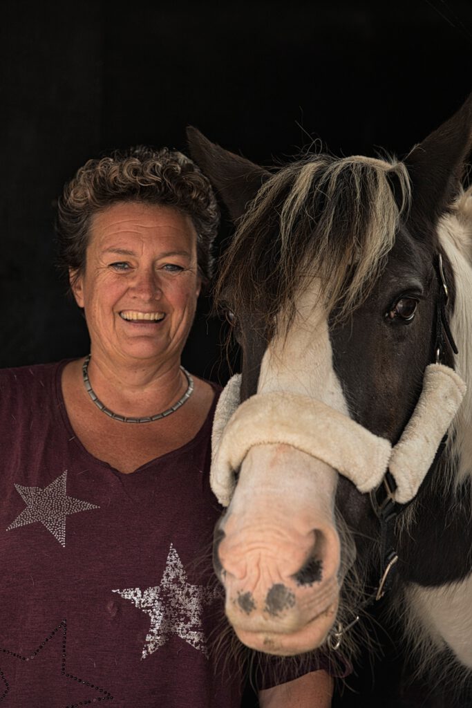 Portretfotografie zwart achtergrond met prachtig paard